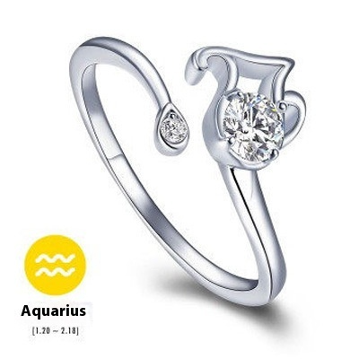 Love couple ring | Zodiac ring - VITIER